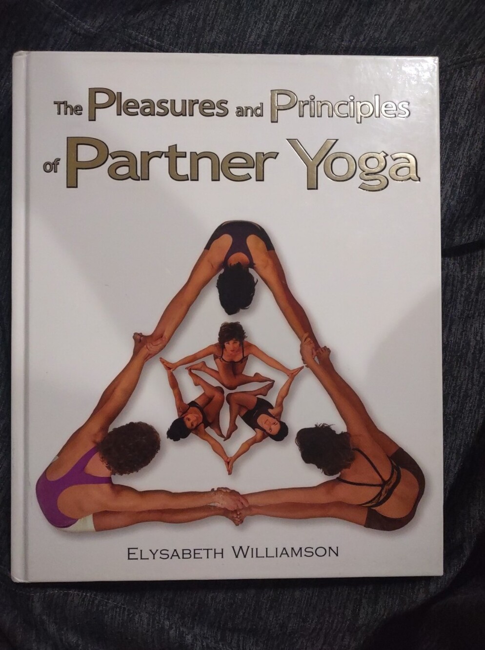 Pleasures & Principles of Partner Yoga E.Williamson 1st Ed New